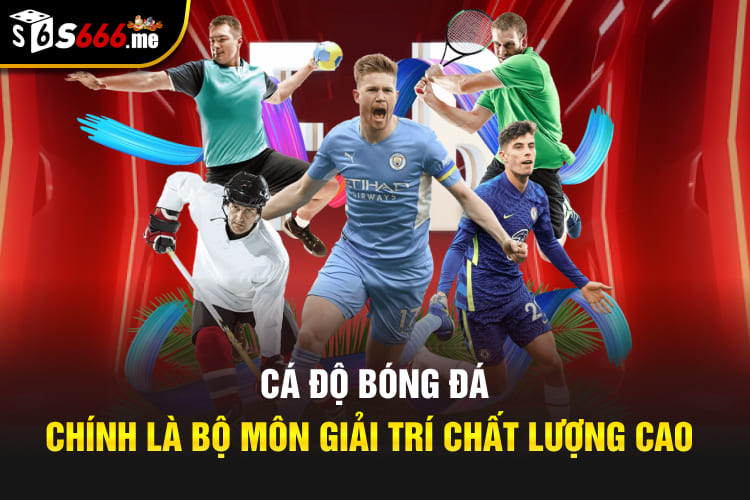 Cá độ bóng đá chính là bộ môn giải trí chất lượng cao