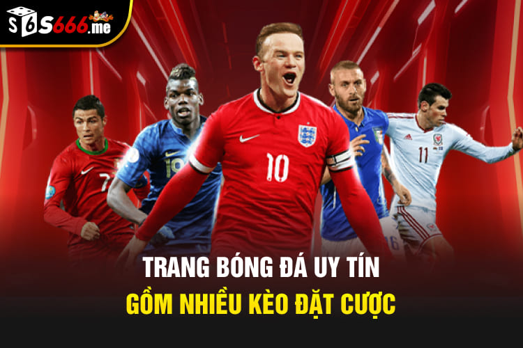 Trang bóng đá uy tín gồm nhiều kèo đặt cược