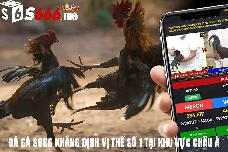 Đá gà S666 khẳng định vị thế số 1 tại khu vực châu Á