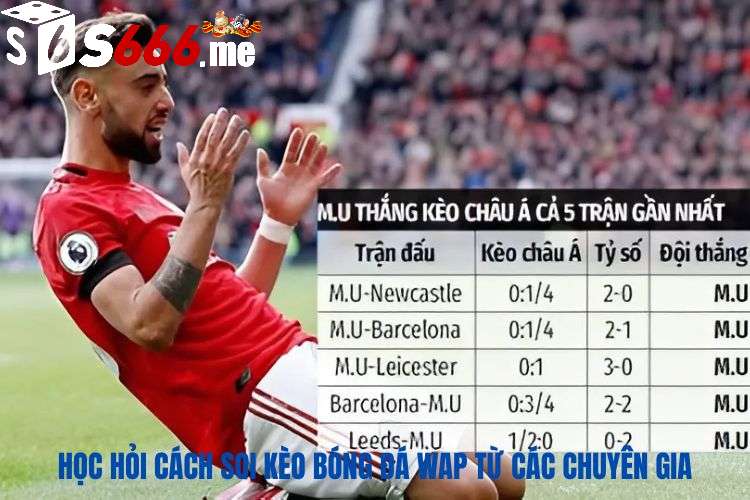 Học hỏi cách soi kèo bóng đá wap từ các chuyên gia lâu năm