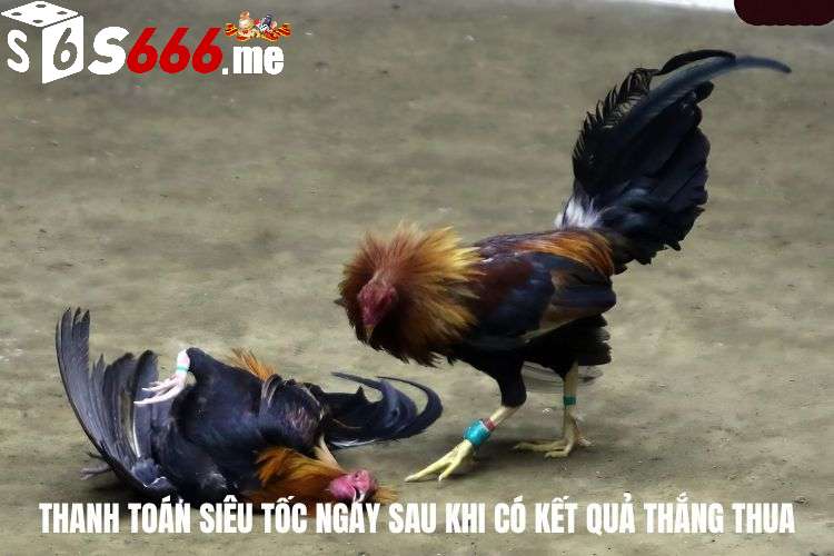 Quy trình thanh toán siêu tốc ngay sau khi có kết quả thắng thua