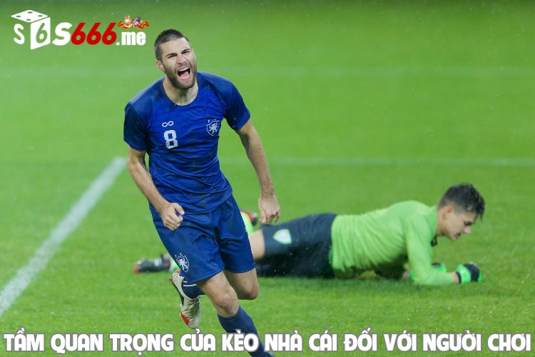 Tầm quan trọng của kèo nhà cái đối với người chơi